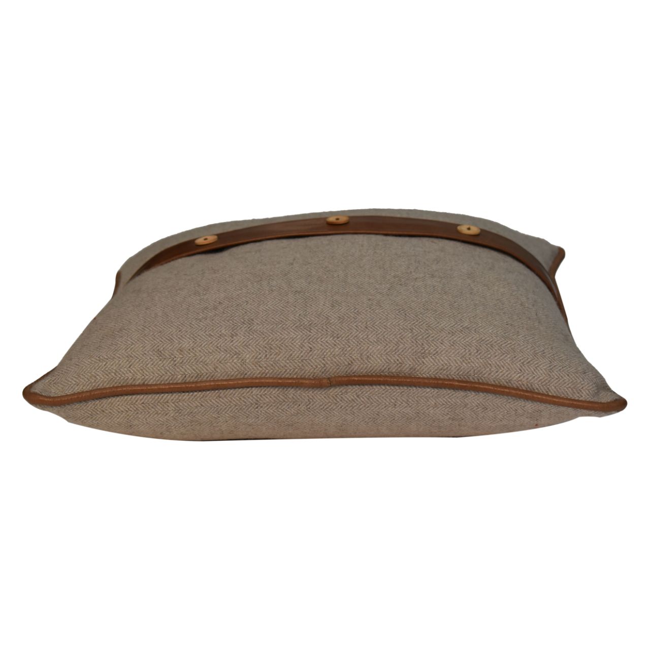 Quin Leather Sand Cushion Set of 2