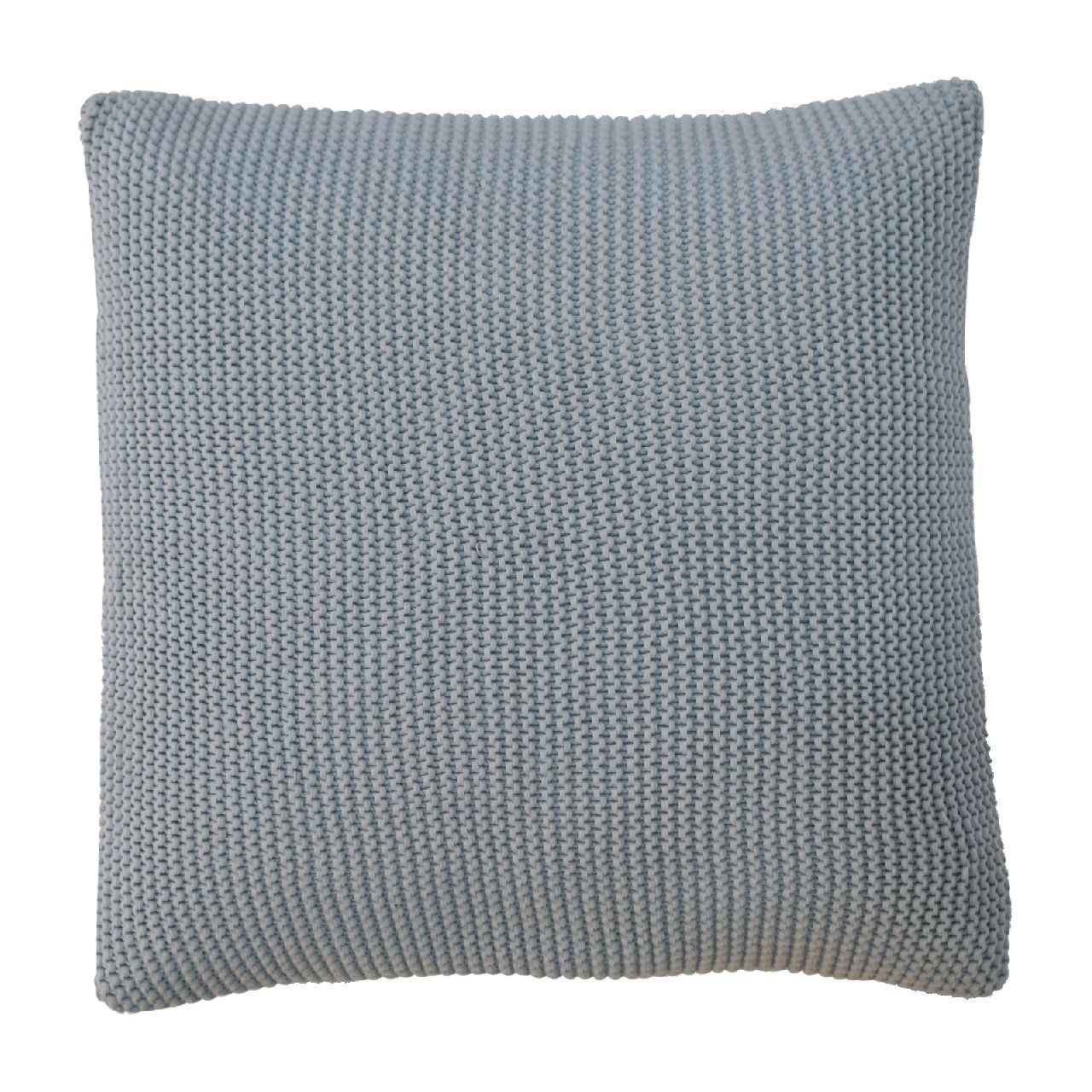 Blue Cotton Cushion Set of 2